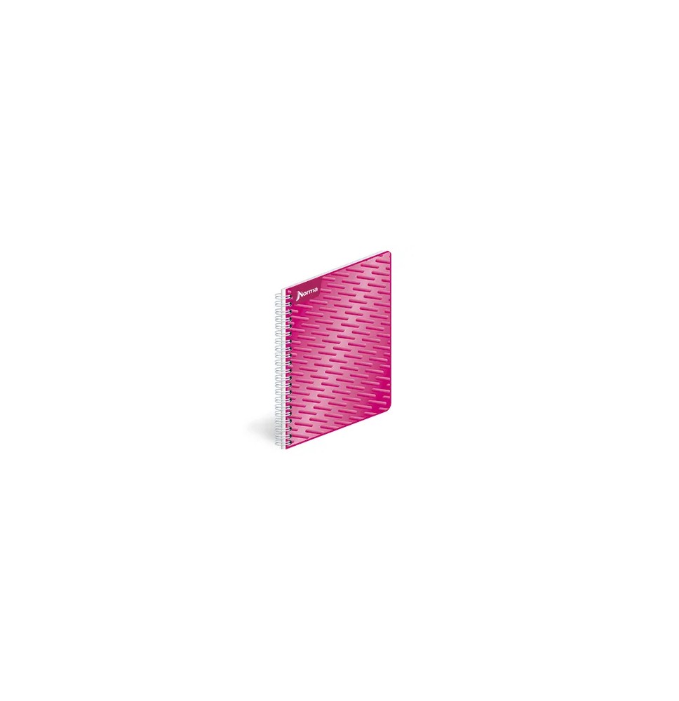 CUADERNO PROF. UNICOLOR NORMA 580815 C7 ESP. 100H. C.25