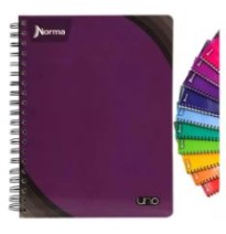 CUADERNO PROF. UNO NORMA 529991 C5 100H. C.25