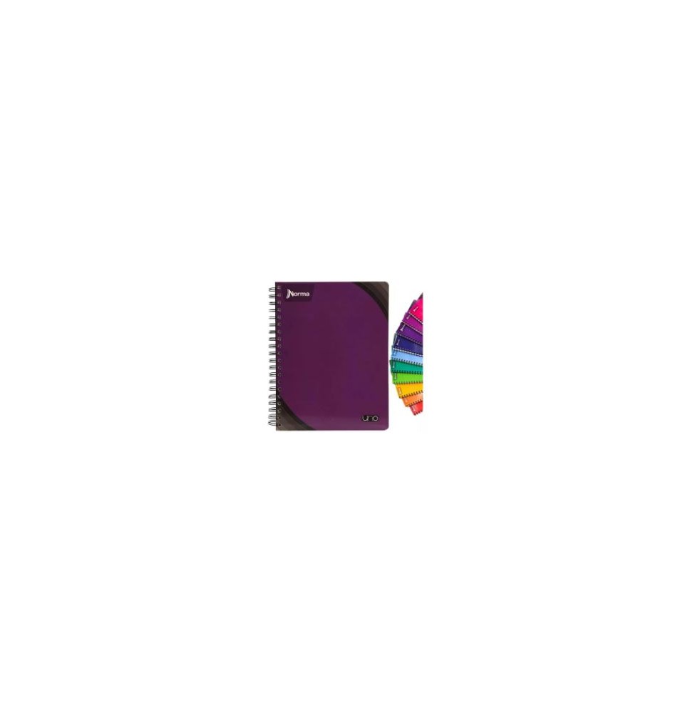 CUADERNO PROF. UNO NORMA 529991 C5 100H. C.25