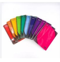 CUADERNO PROF. UNO NORMA 529991 C5 100H. C.25
