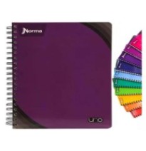 CUADERNO PROF. UNO NORMA 529991 C5 100H. C.25