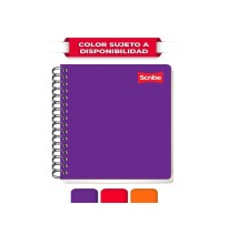CUADERNO FRANC. CLASICO SCRIBE 1603 C7MM. ESP. 100H. C.36
