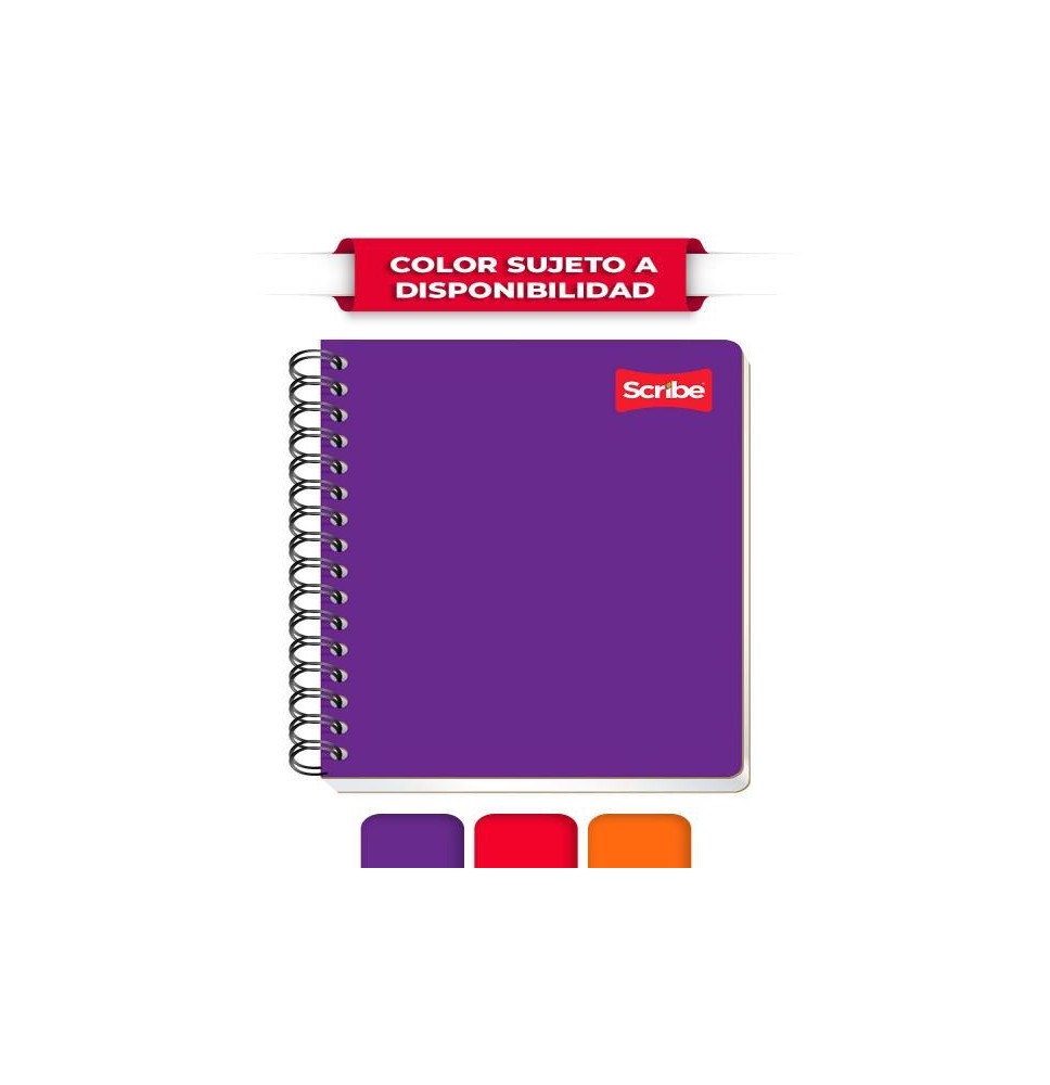 CUADERNO FRANC. CLASICO SCRIBE 1603 C7MM. ESP. 100H. C.36