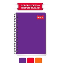 CUADERNO FRANC. CLASICO SCRIBE 1603 C7MM. ESP. 100H. C.36
