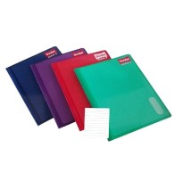 CUADERNO PROF. SERIE III SCRIBE 4300 RAYA COS. 100H C24