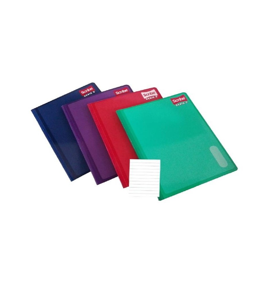 CUADERNO PROF. SERIE III SCRIBE 4300 RAYA COS. 100H C24