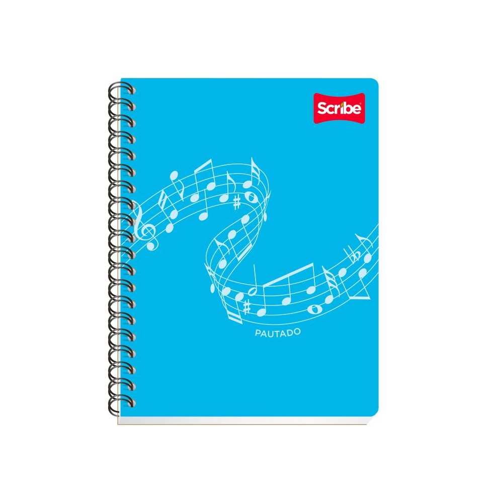 CUADERNO PROF. CLASICO SCRIBE 2908 PAUTADO ESP. 100H. C.24