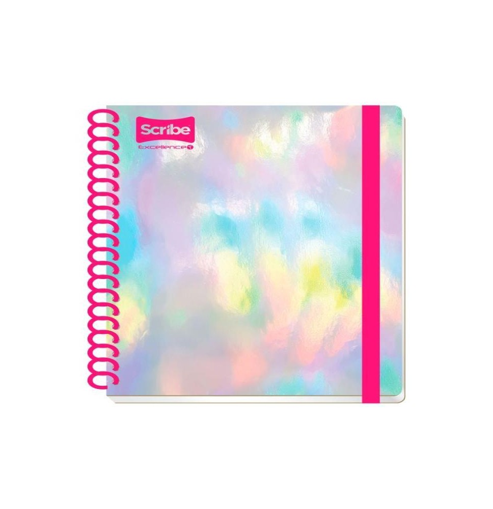 CUADERNO PROF. EXCELLENCE T SCRIBE 0630 RAYA ESP.200H. C12