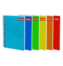 CUADERNO PROF. CLASICO SCRIBE 2900 RAYA ESP. 100H. C.24