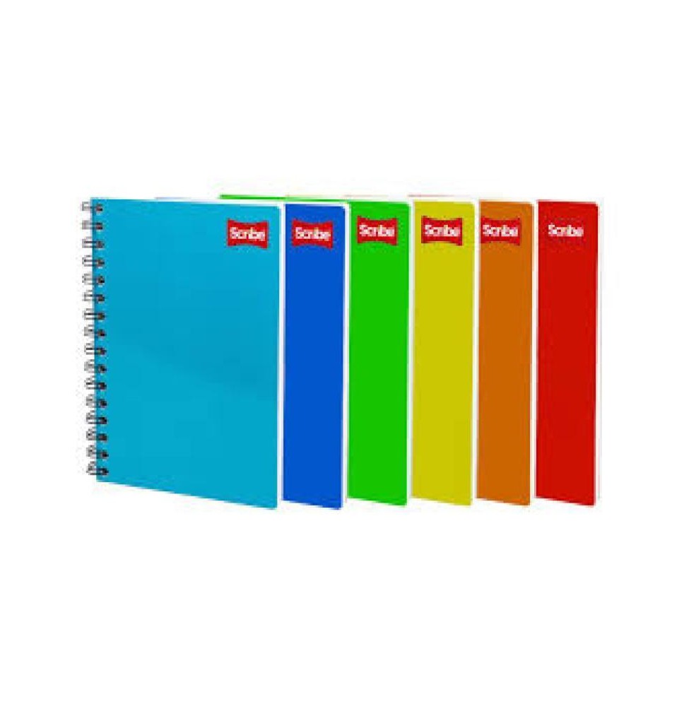 CUADERNO PROF. CLASICO SCRIBE 2900 RAYA ESP. 100H. C.24