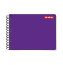 CUADERNO PROF. CLASICO SCRIBE 2907 MIXTO ESP. 100H. C.24