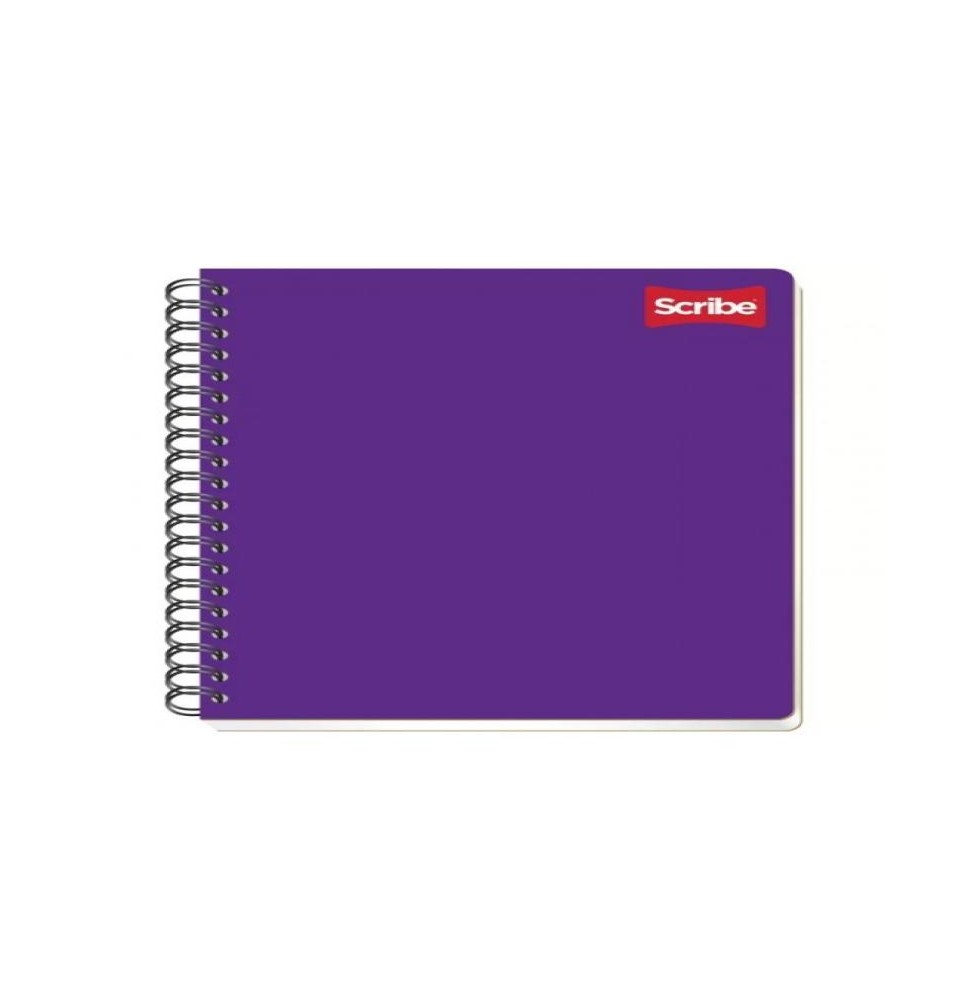 CUADERNO PROF. CLASICO SCRIBE 2907 MIXTO ESP. 100H. C.24