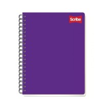 CUADERNO PROF. CLASICO SCRIBE 2907 MIXTO ESP. 100H. C.24