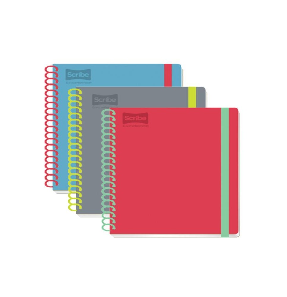 CUADERNO PROF. EXCELLENCE SCRIBE 9450 RAYA ESP.100H. C24