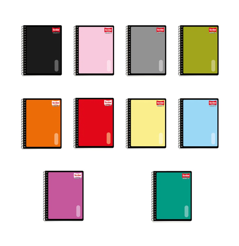 CUADERNO PROF. SERIE III SCRIBE 9653 C7 ESP. 100H C24