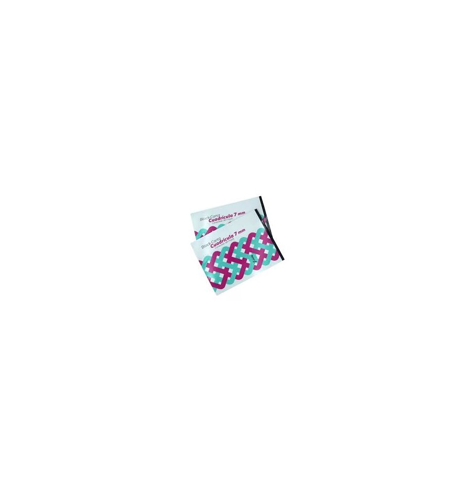 BLOCK CARTA RAYTER C7MM PEG.80HS. 21.5X28 C25