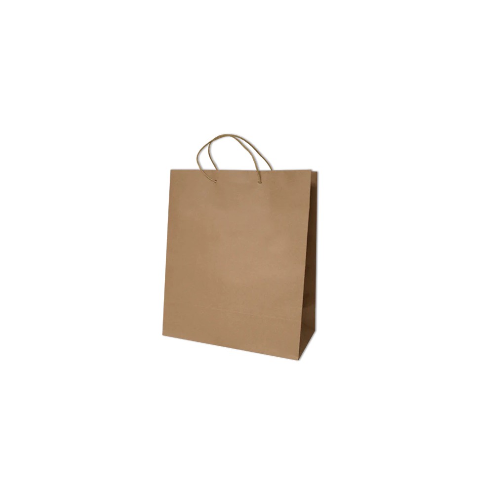BOLSA KRAFT JUMBO NATURAL DIPAK E.10 C.100