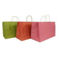 BOLSA TOTE SLIC. GOSTECH 40X15X30 CM E.10