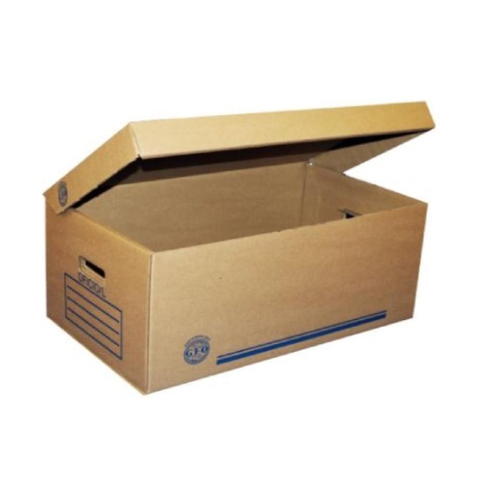 CAJA ARCHIVO CARTON CTA. 495X313X253CM. 9KGCM2 E25C250