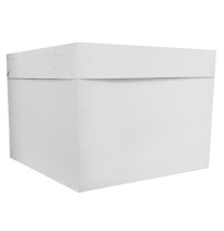 CAJA BLANCA PADI BALON 22X22X22 JGO E12