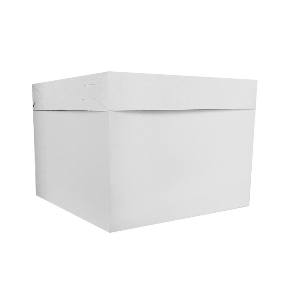 CAJA BLANCA PADI BALON 22X22X22 JGO E12