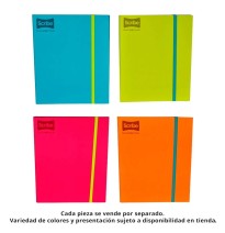 CARPETA PROF. CTA. EXCELLENCE SCRIBE 9870 RAYA 100H. C6