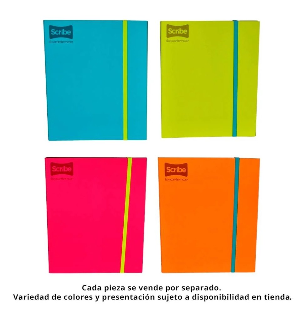 CARPETA PROF. CTA. EXCELLENCE SCRIBE 9870 RAYA 100H. C6