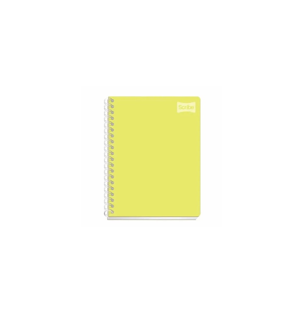 CUADERNO PROF. POLYCOVER SCRIBE 2050 RAYA ESP. 100H. C.24