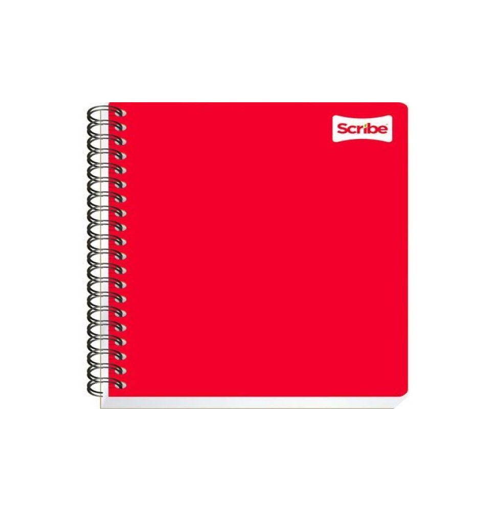 CUADERNO PROF. CLASICO SCRIBE 2187 MIXTO ESP. 200H. C.12