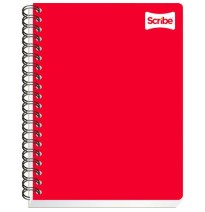 CUADERNO PROF. CLASICO SCRIBE 2187 MIXTO ESP. 200H. C.12
