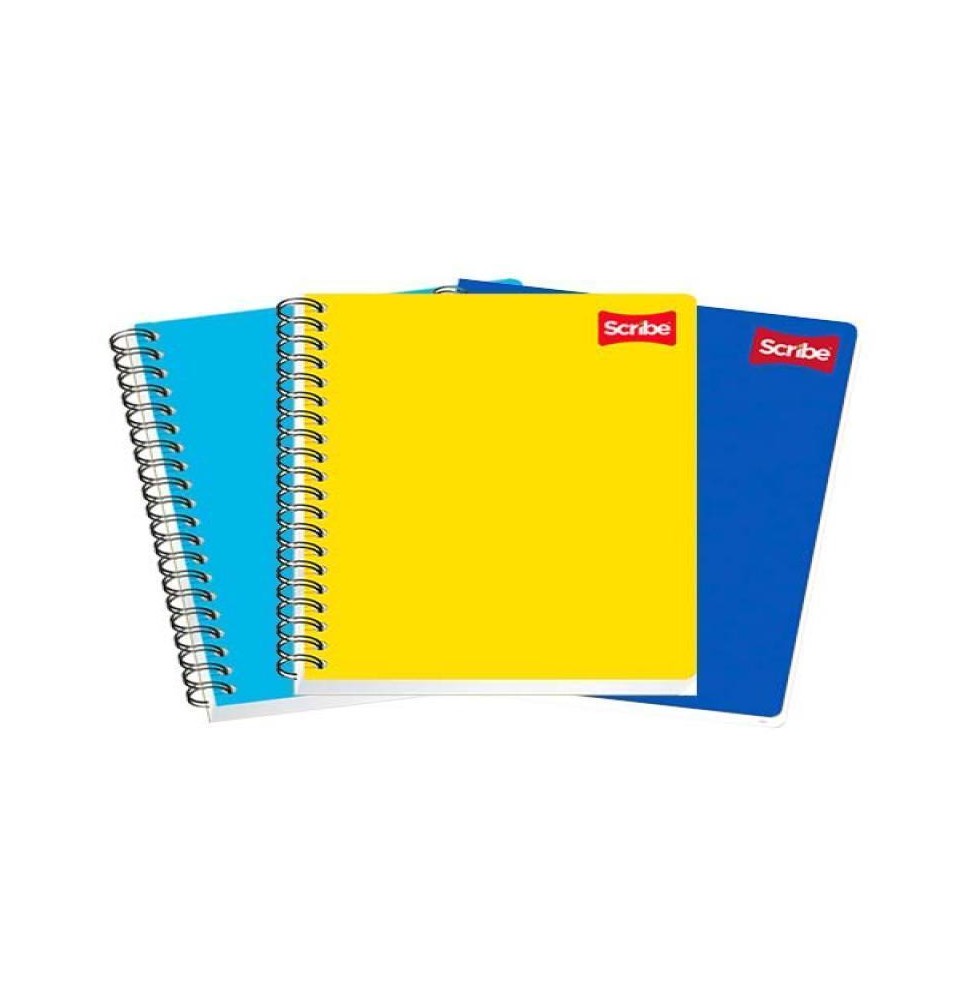 CUADERNO PROF. CLASICO SCRIBE 2901 DIBUJO ESP. 100H. C.24