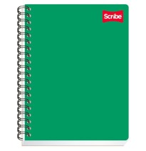 CUADERNO PROF. CLASICO SCRIBE 2902 C5MM. ESP. 100H. C.24