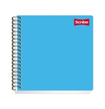 CUADERNO PROF. CLASICO SCRIBE 2904 D.RAYA ESP. 100H. C.24
