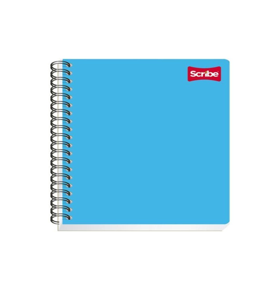 CUADERNO PROF. CLASICO SCRIBE 2904 D.RAYA ESP. 100H. C.24