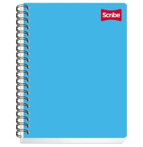 CUADERNO PROF. CLASICO SCRIBE 2904 D.RAYA ESP. 100H. C.24
