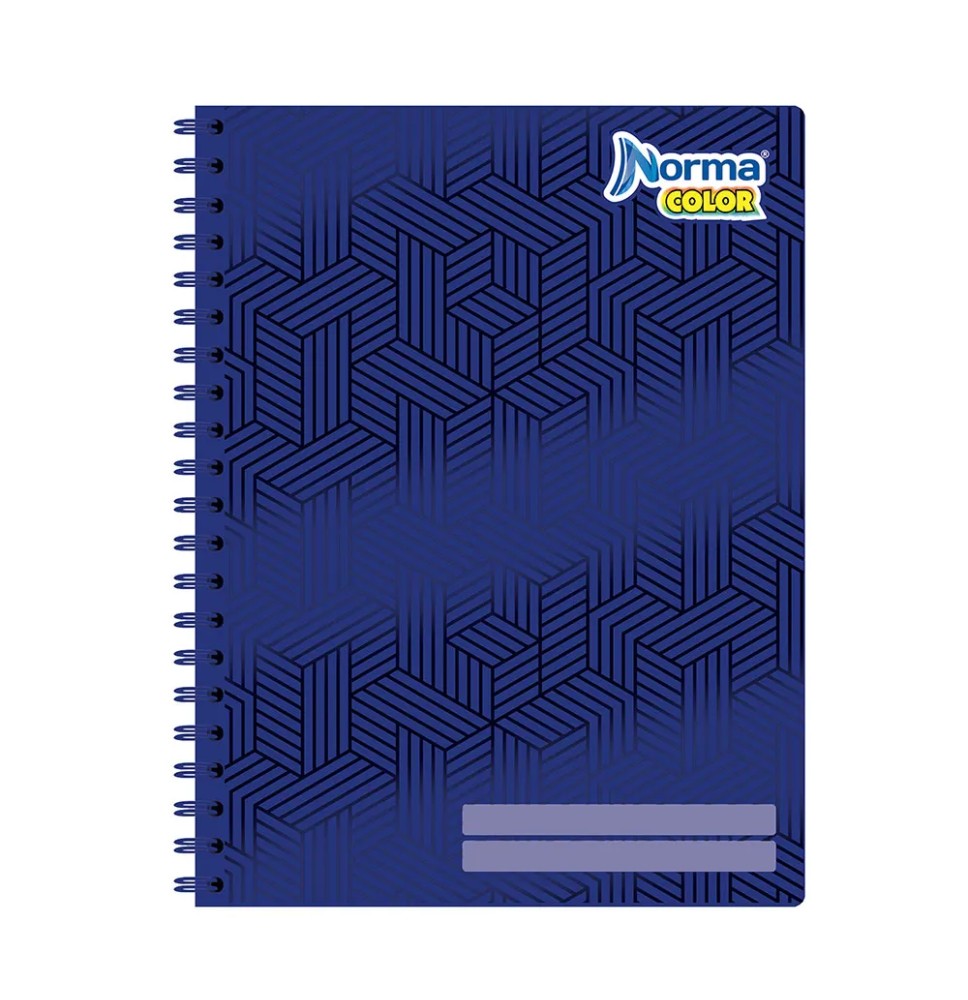 CUADERNO PROF. COLOR NORMA 520008 RAYA ESP. 100H. C.25