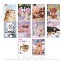 CUADERNO PROF. DOGS NORMA 520739 RAYA ESP. 100H. C.25