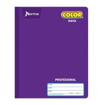 CUADERNO PROF. COLOR NORMA 581280 RAYA COS. 100H. C30