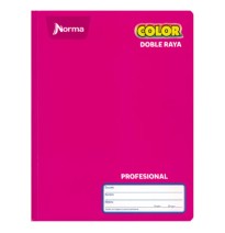 CUADERNO PROF. COLOR NORMA 581284 D.RAYA COS. 100H. C30