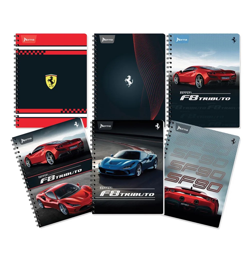 CUADERNO PROF. FERRARI NORMA 525150 RAYA ESP. 100H. C.25