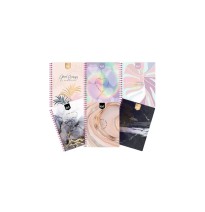 CUADERNO PROF. KIUT NORMA 527300 RAYA ESP. 100H. C.25