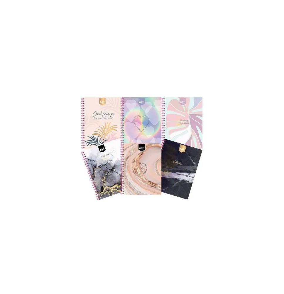 CUADERNO PROF. KIUT NORMA 527300 RAYA ESP. 100H. C.25