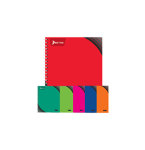 CUADERNO PROF. UNO NORMA 529989 RAYA ESP. 100H. C.25