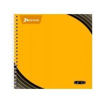 CUADERNO PROF. UNO NORMA 529994 C7 100H. C.25