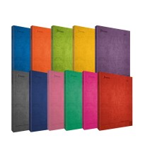 CUADERNO FRANC. DAILY NORMA 580641 RAYA ESP. 100H C12