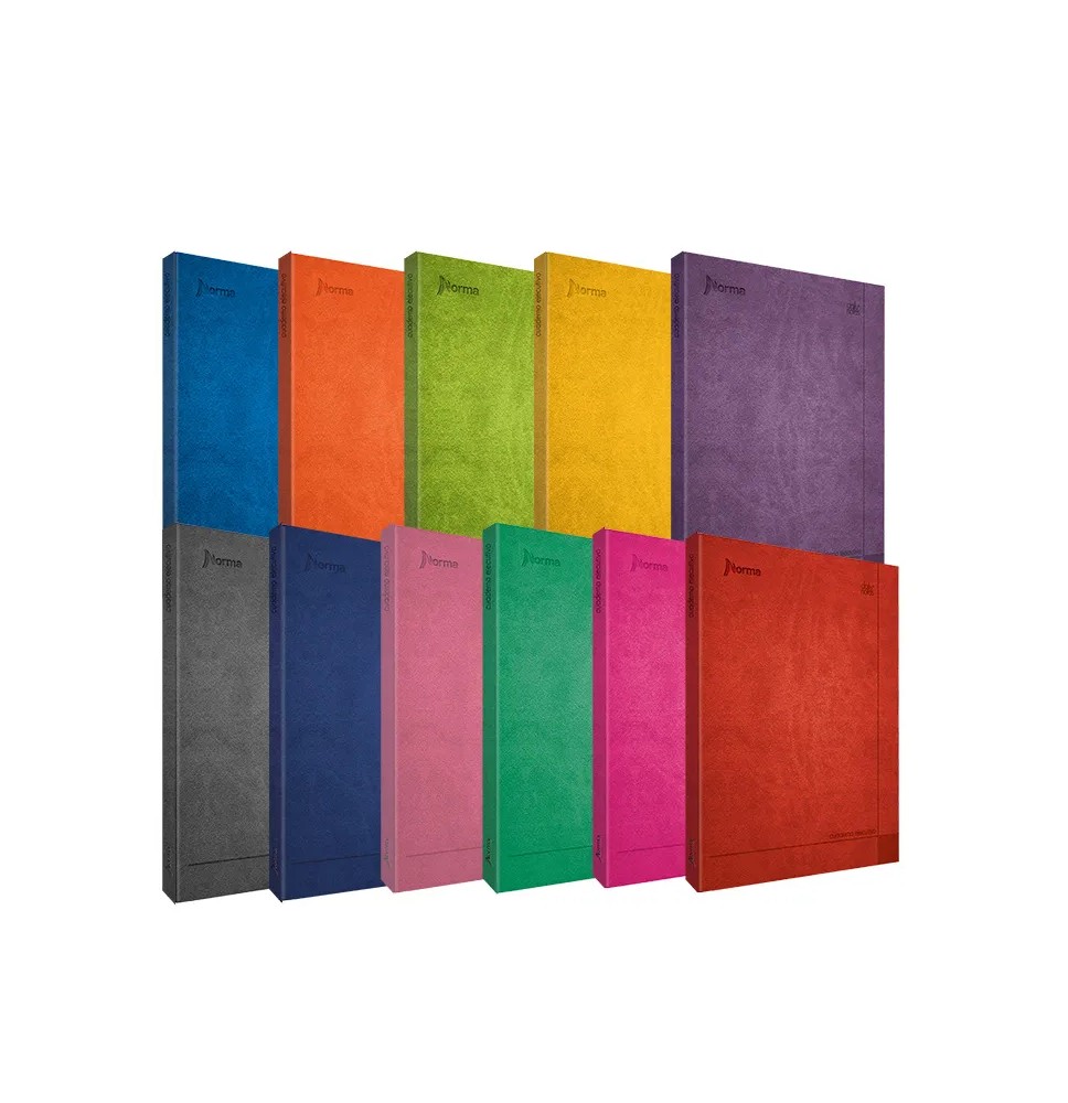 CUADERNO FRANC. DAILY NORMA 580641 RAYA ESP. 100H C12