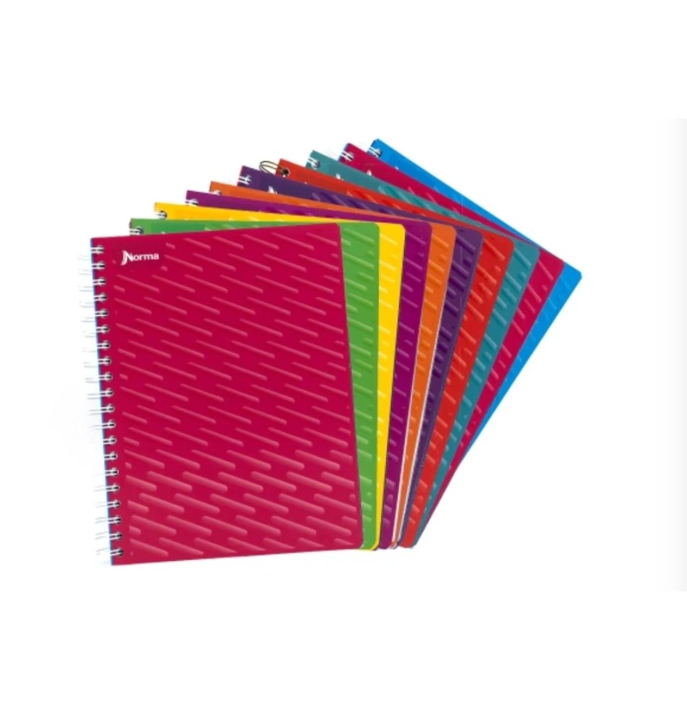 CUADERNO PROF. UNICOLOR NORMA 580813 RAYA ESP. 100H. C.25
