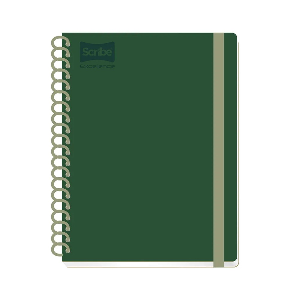 CUADERNO PROF. EXCELLENCE SCRIBE 9490 RAYA ESP.200H. C12