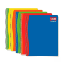 CUADERNO PROF. ESCOLAR SCRIBE 2530 RAYA ESP. 200H. C.18