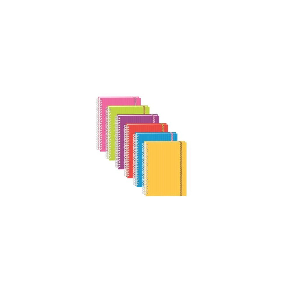 CUADERNO PROF. ARCOIRIS PRINTAFORM RAYA ESP. 100H. C.12